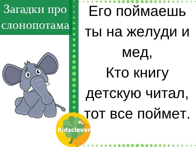 Загадки про слонопотама