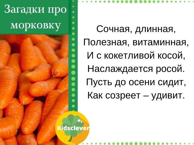 Загадки про морковку