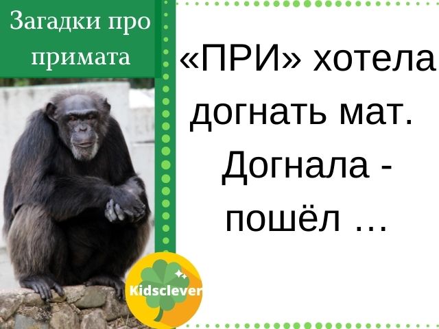 Загадки про примата