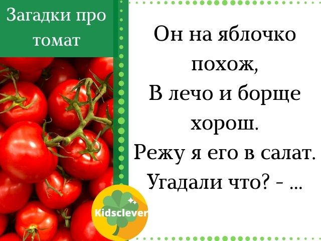 Загадки про томат